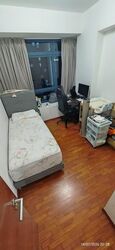 City Square Residences (D8), Condominium #584648151